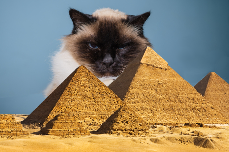 Kitty Worship: Cats of Ancient Egypt - CatGazette