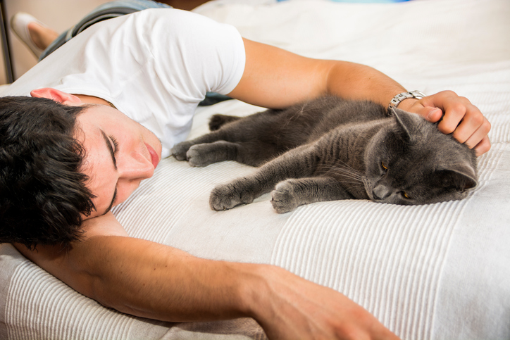 Do Cats Make Your Mental Health Better