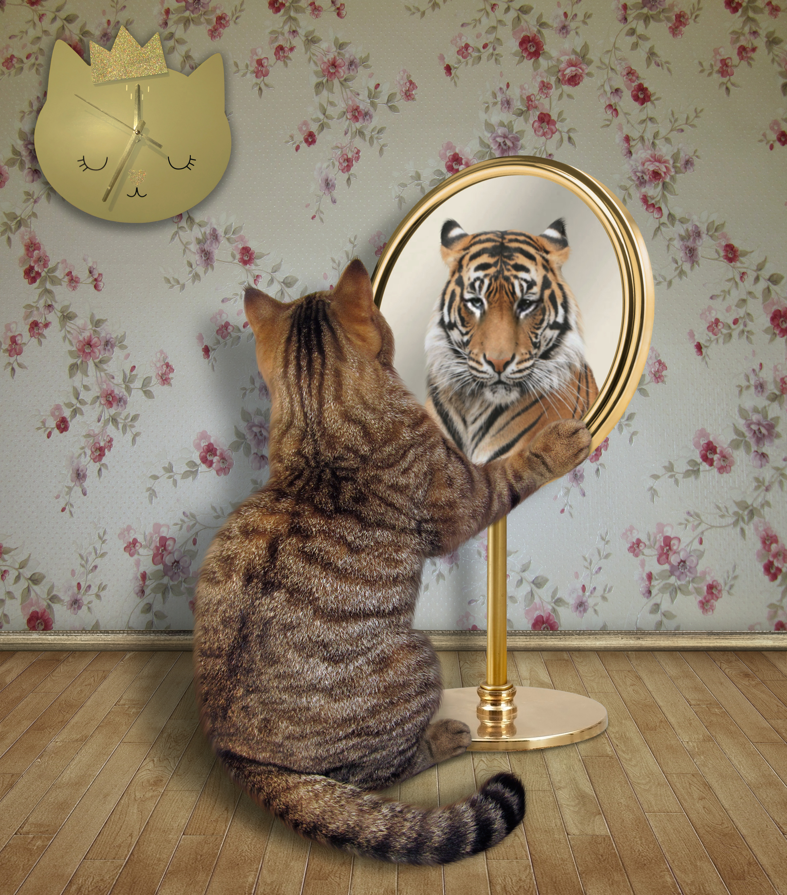 Котенок в зеркале