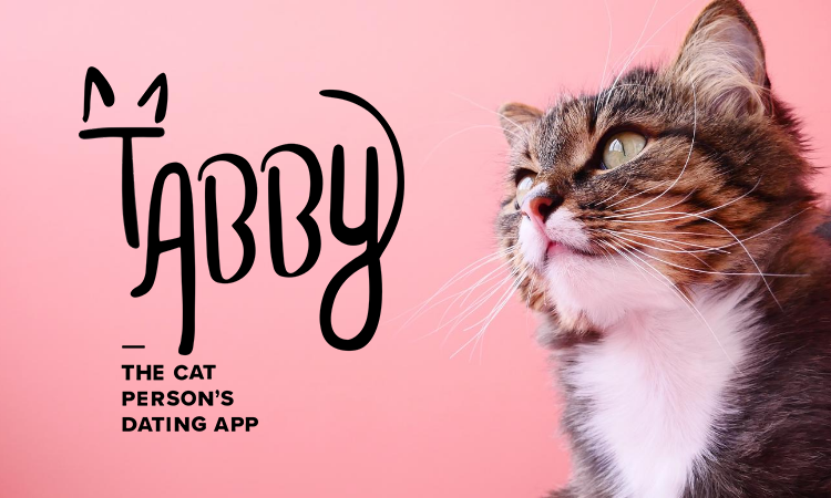 tabby cat app