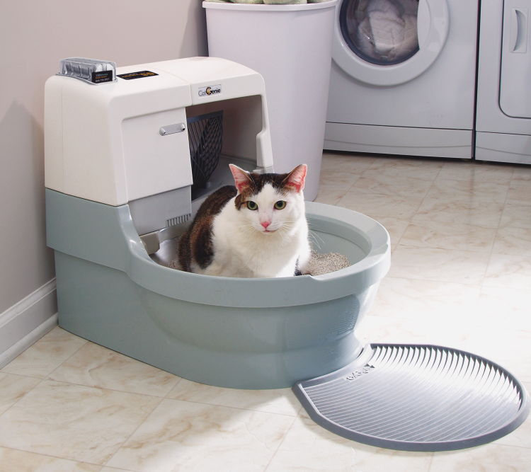 How to Clean Your CatGenie In 10 Easy Steps