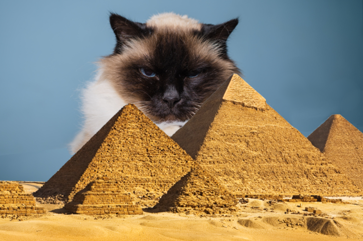 Egypt Cat Cover 1 