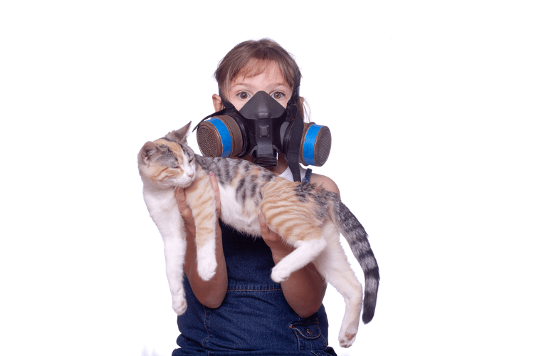 A Cat Lover’s Guide to Coping with Cat Allergies