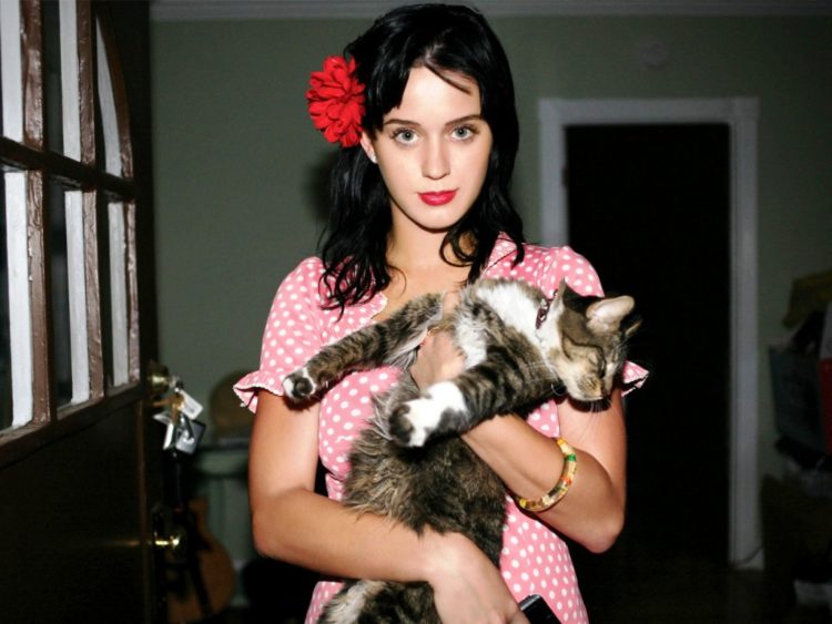 5 Famous Cat Moms and Their Feline Furbabies