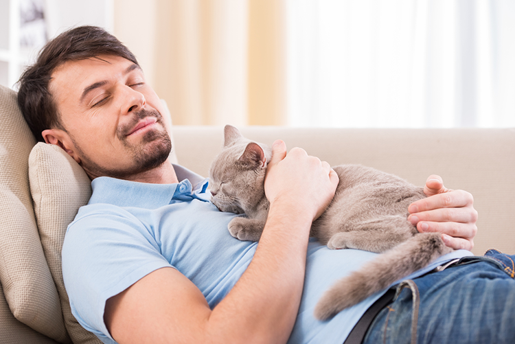 Why All Men Should Adopt Cats