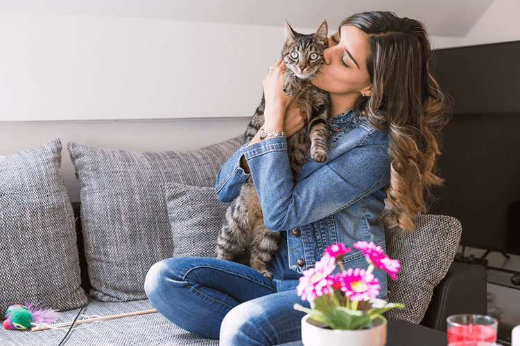 How To Spend Valentine’s Day With Your Cat