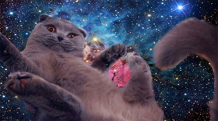 https://longlivethekitty.com/felis-cat-history-lost-glorious-kitty-constellation/