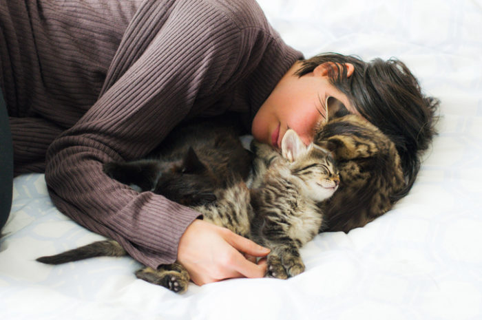 Young brunette woman sleeping with three cute kittens on the bed.