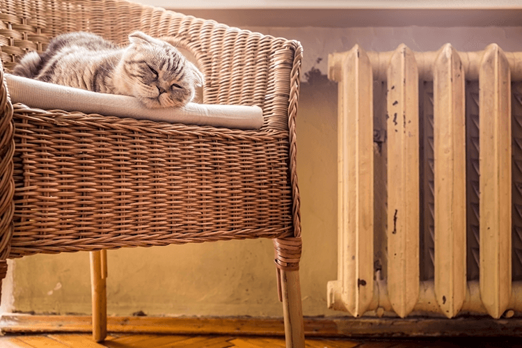 Winter Heating Safety & Your Cat