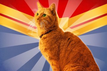 The Real Star of Captain Marvel: Goose the Cat