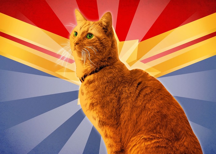 The Real Star of Captain Marvel: Goose the Cat
