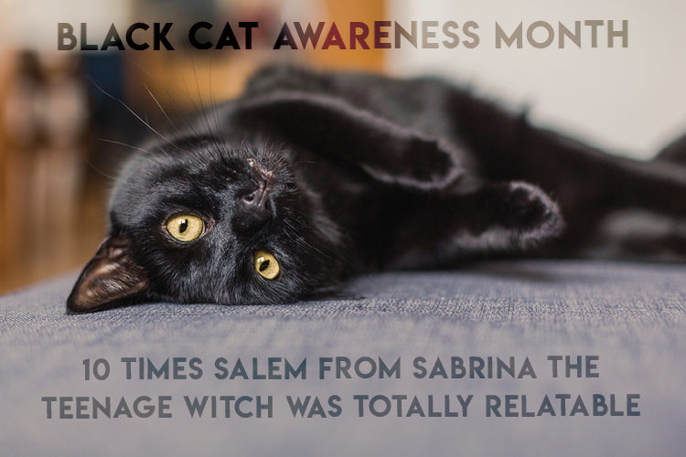 10 times Salem from Sabrina the Teenage Witch was totally relatable