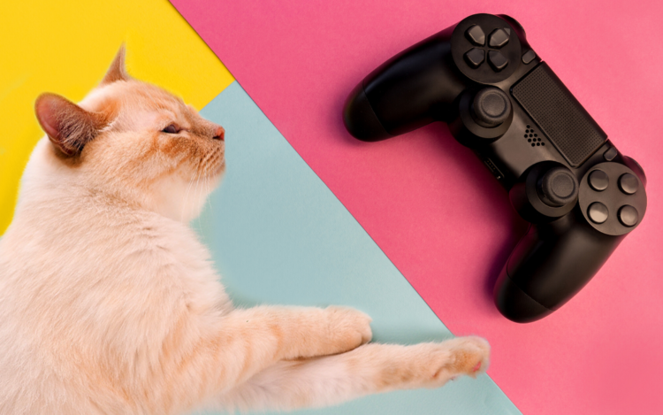 Video Games Starring Cats 