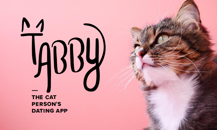 New Dating App “Tabby” Made Just for Cat-Lovers - CatGazette