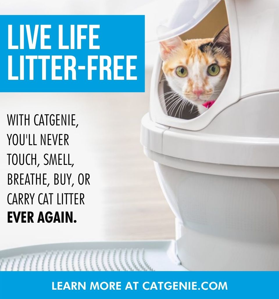 LIVE LIFE LITTER-FREE WITH CATGENIE, You'll never touch, smell, breathe, buy, or carry cat litter ever again