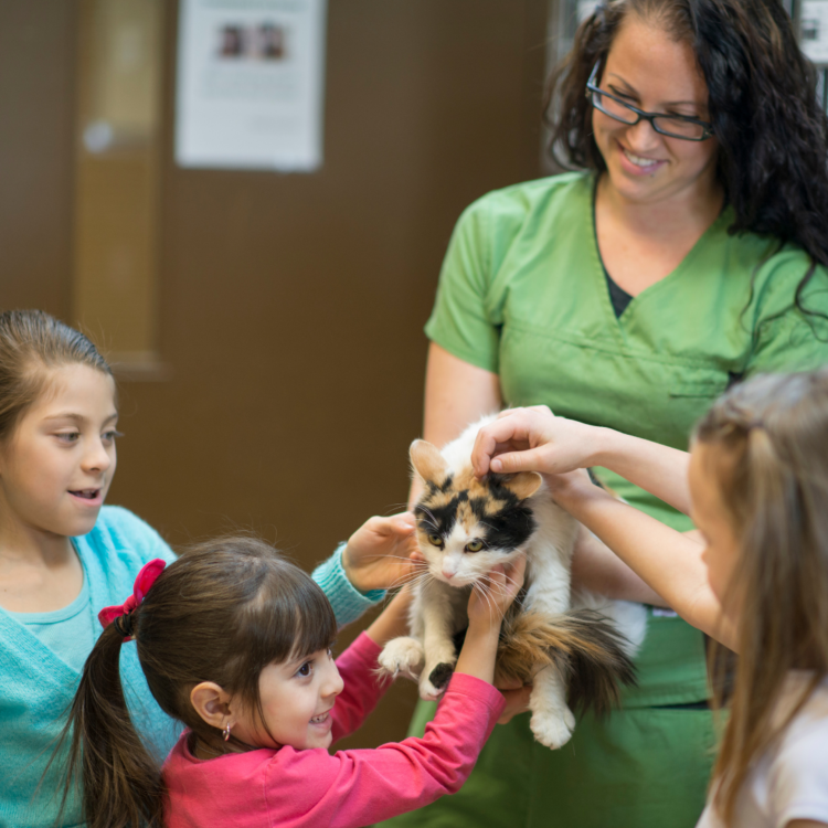 3 Ways Your Kid Can Volunteer and Help Animals this Summer