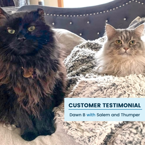 Customer Testimonial: Taking Care of Two Cats While Living with a Disability