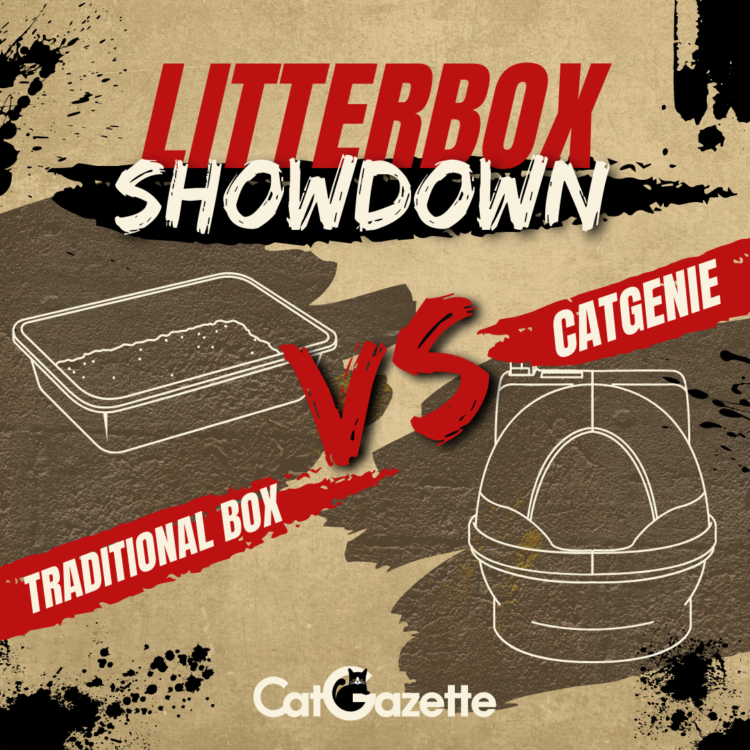 Litter Box Showdown: Traditional Box vs. CatGenie