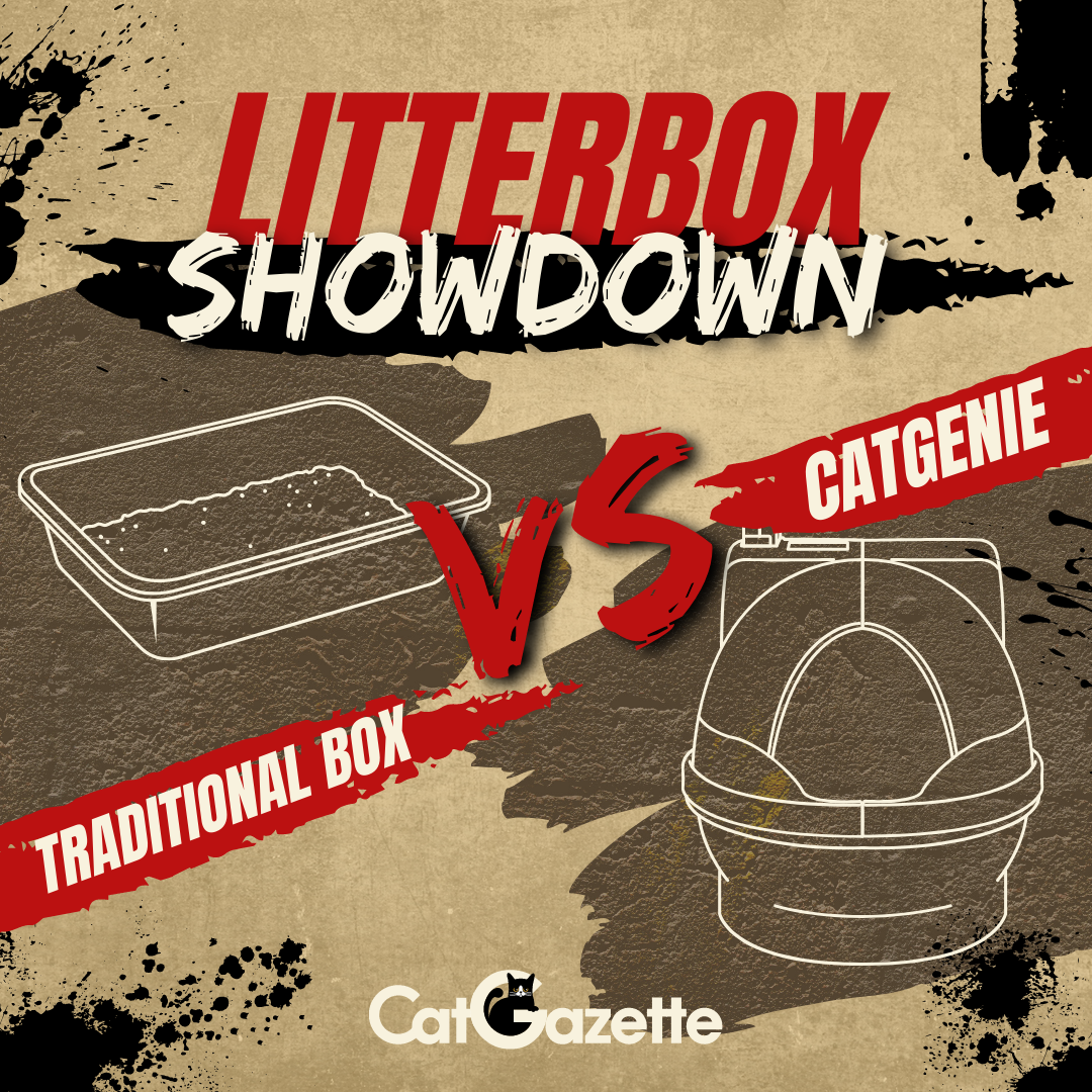 Litter Box Showdown Traditional Box vs. CatGenie CatGazette