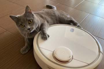 a grey cats lays with its paw on top of a white robot vacuum.